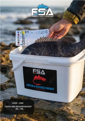 Catch and release bucket - 20 L - Live Bait